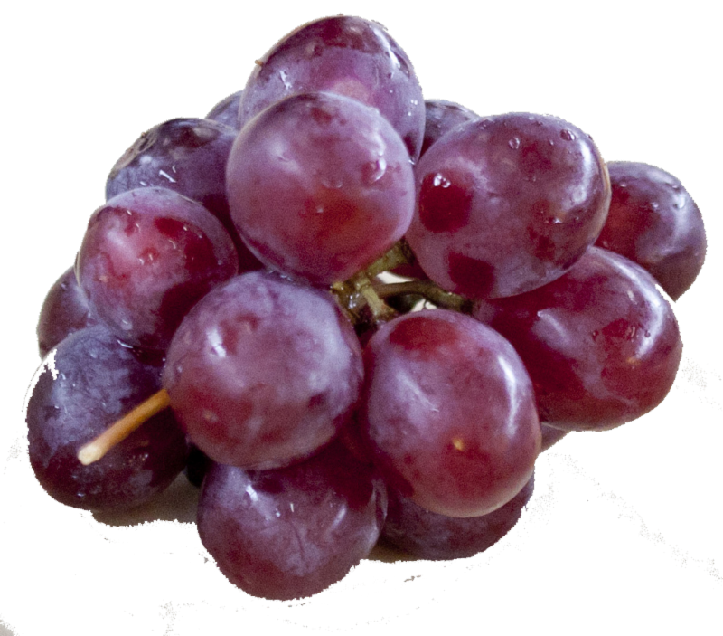 GRAPES, Purple Lunch Bunch