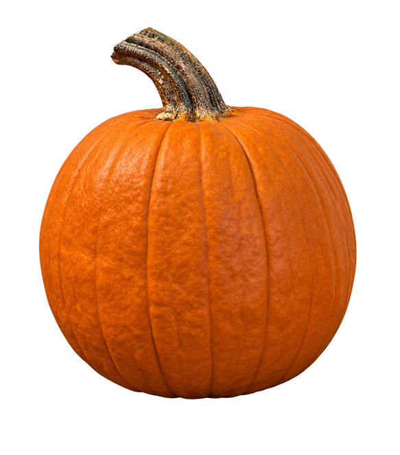 PUMPKIN, Small [GPS]