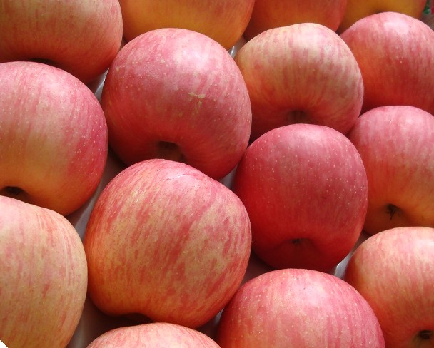 APPLES, Pink Varieties