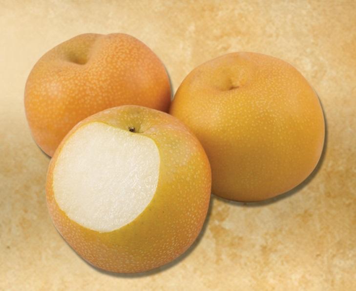 APPLE PEARS