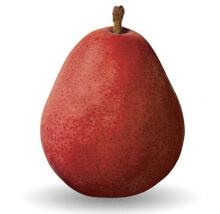 PEARS, Red
